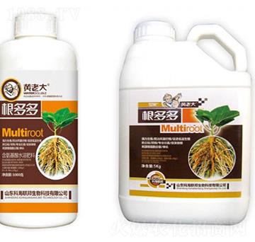 �����M�����b-�S�ϴ�