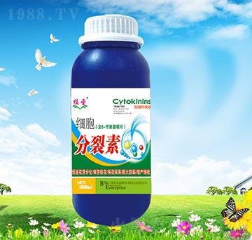 ����������-ֲʥ-��Ұ