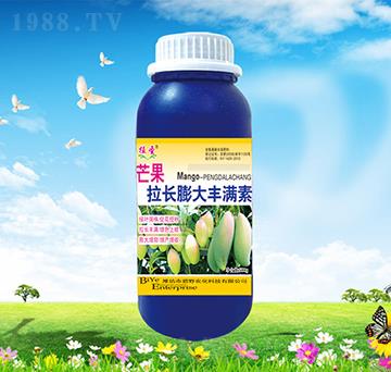 â�����L����S�M��-ֲ