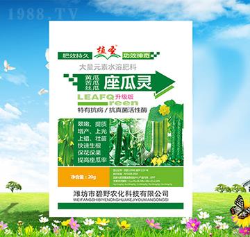 �����`-ֲʥ-��Ұ�r(n��ng)��