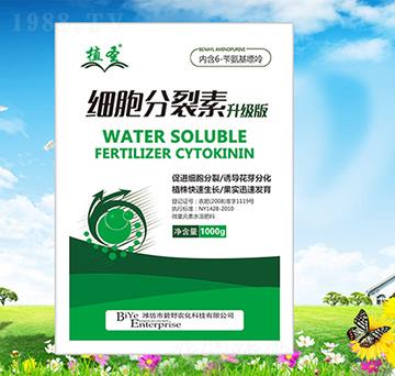 ����������������-ֲʥ