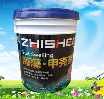 ���塤�ך���-ֲʥ-��