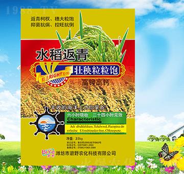 ˮ���������������-��