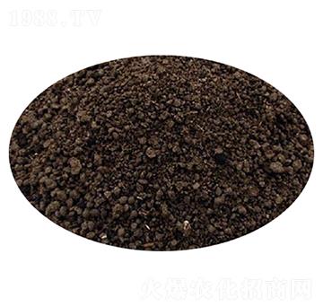 �l(f��)���ЙC���w��-��������