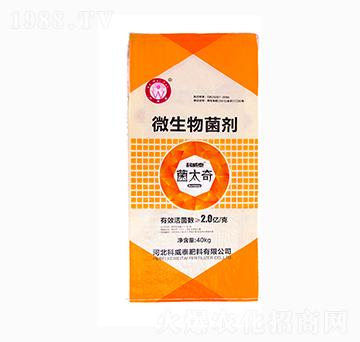 ��̫��΢�������-����̩