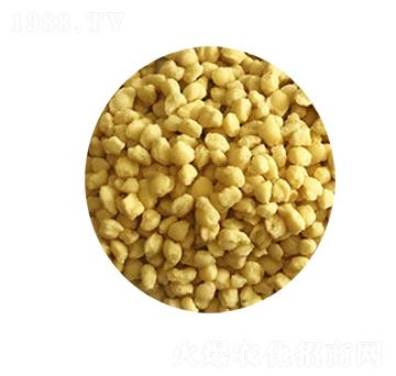 �w���Ȼ��@���S��-ҫ�_����