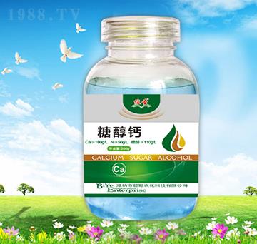 200gֲʥ�Ǵ��}-��