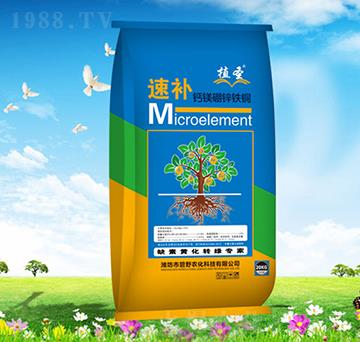 ���a�}�V���\�F�~-ֲʥ