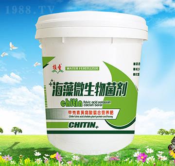 ����΢�������-ֲʥ-