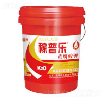 �S�����-���՘�-����