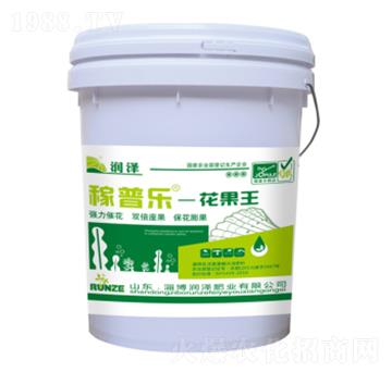 ������-���՘�-���ɷ�