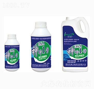 ��_1̖(h��o)ƿ�b΢�������