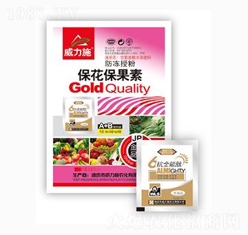 ����������-����ʩ