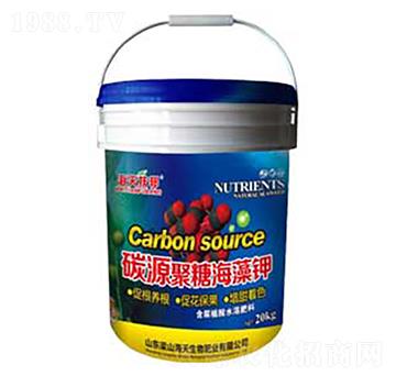 ̼Դ���Ǻ����-������