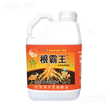 5���������-��������