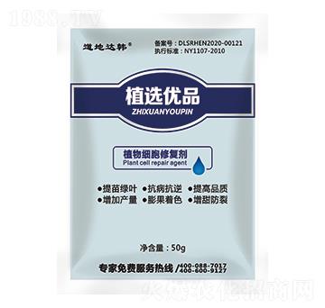 ֲ�：���ޏ̈́�-���n