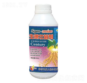 �������焩-����ʩ