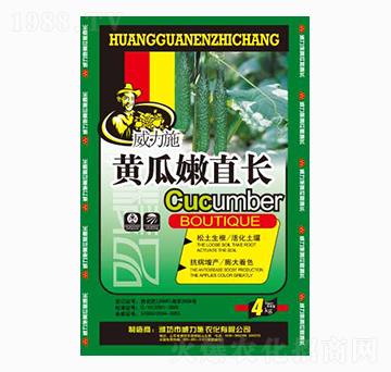 �S����ֱ�L(zh��ng)-����ʩ