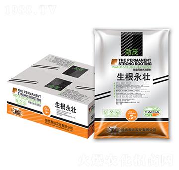 ��������-̩�_(d��)�r(n��ng)��