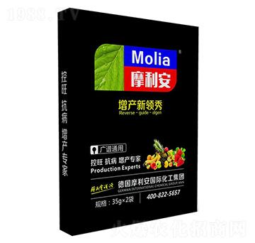 �V�Vͨ��-Ħ����