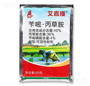 40%�S�ס����ݰ�-��