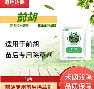 ǰ�����݄�-ǰ�����-ǰ������-���n