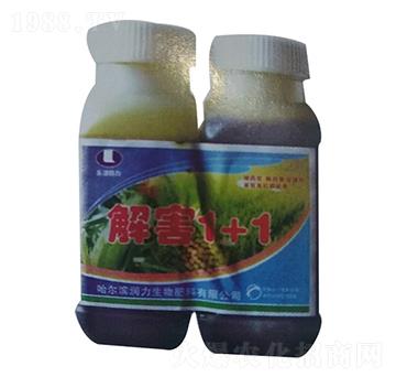 �⺦1+1-����