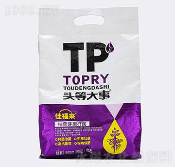 �ݲ�ѿ�ߗU��-�Ѹ���-