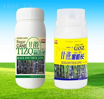 ����ڴ��L(zh��ng)-�A�Z(li��n)��