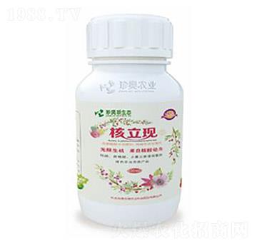 核立現（瓶）-珍奧