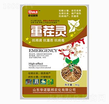 �ز��`-�A�Z(li��n)��