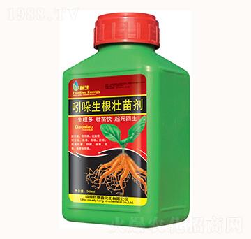 吲哚生根壯苗劑-康鑫化工