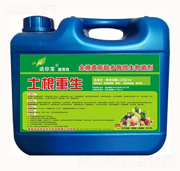 全糖黃腐酸多酶微生物菌劑-土根重生-農(nóng)豐
