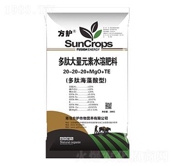 ���Ĵ���Ԫ��ˮ�ܷ�20-20-20+MgO+TE-���o(h��)