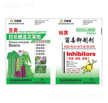 ������L��ֱ���v�+���S�������Ƅ�-�ɹܼ�-����