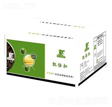 ���Ѽ׭h(hu��n)��-�P����-���A����