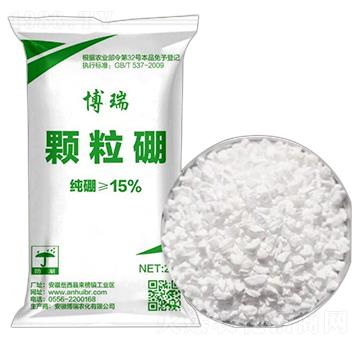 �w����ʩ��� �����r(n��ng)��