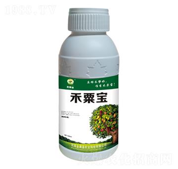 ����(sh��)���÷� ���ڌ� ��Mӯ�r(n��ng)�I(y��)