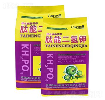 ���ܶ����-�����S-���Π�