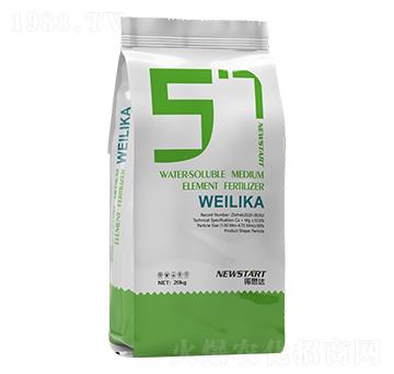 ΢���� �Z˼�_