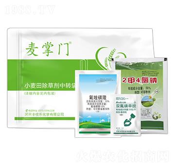 10%�����¡+5%�p