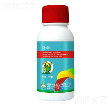 15%���ǲ�ͪ-����-