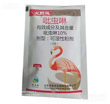 10%���x�� �����B ��̩����