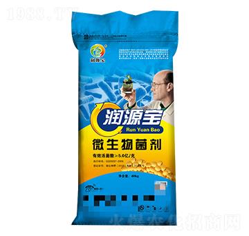 40kg΢�������-��΢����