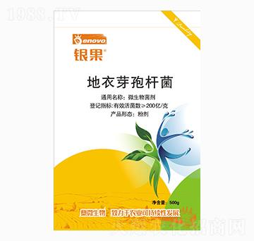 ����ѿ�ߗU��-�y��-��΢����