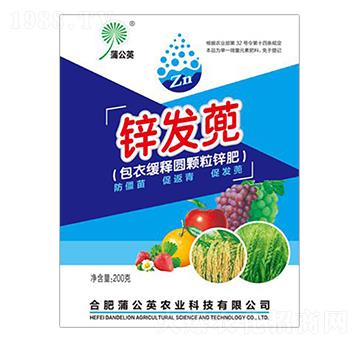 �\�l(f��)�� �ѹ�Ӣ�r(n��ng)�I(y��)