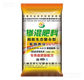 ���������͵׷�12-15-13-���o��