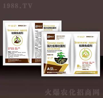 �����������焩+���S��