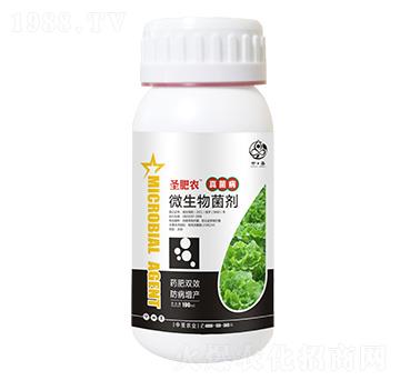 ƿ�b���������΢�������-ʥ���r(n��ng)-��ʥ�r(n��ng)�I(y��)