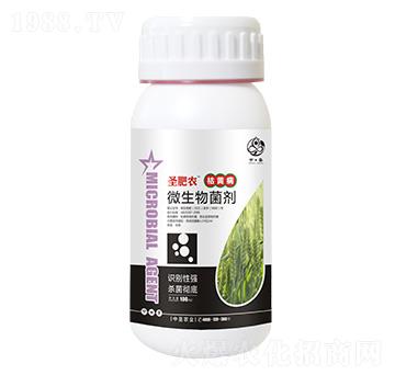 ƿ�b���S������΢�������-ʥ���r(n��ng)-��ʥ�r(n��ng)�I(y��)